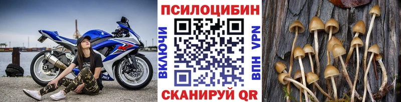 Псилоцибиновые грибы MAGIC MUSHROOMS Верхняя Салда